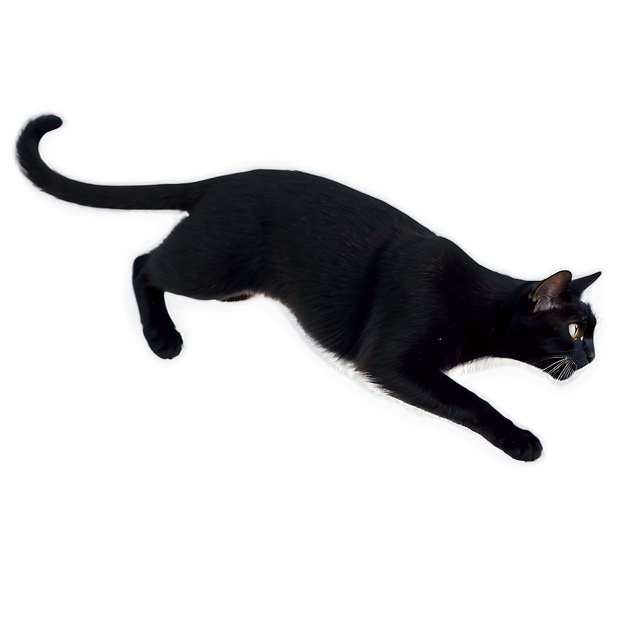 Black Cat Leaping Png Xyi PNG image