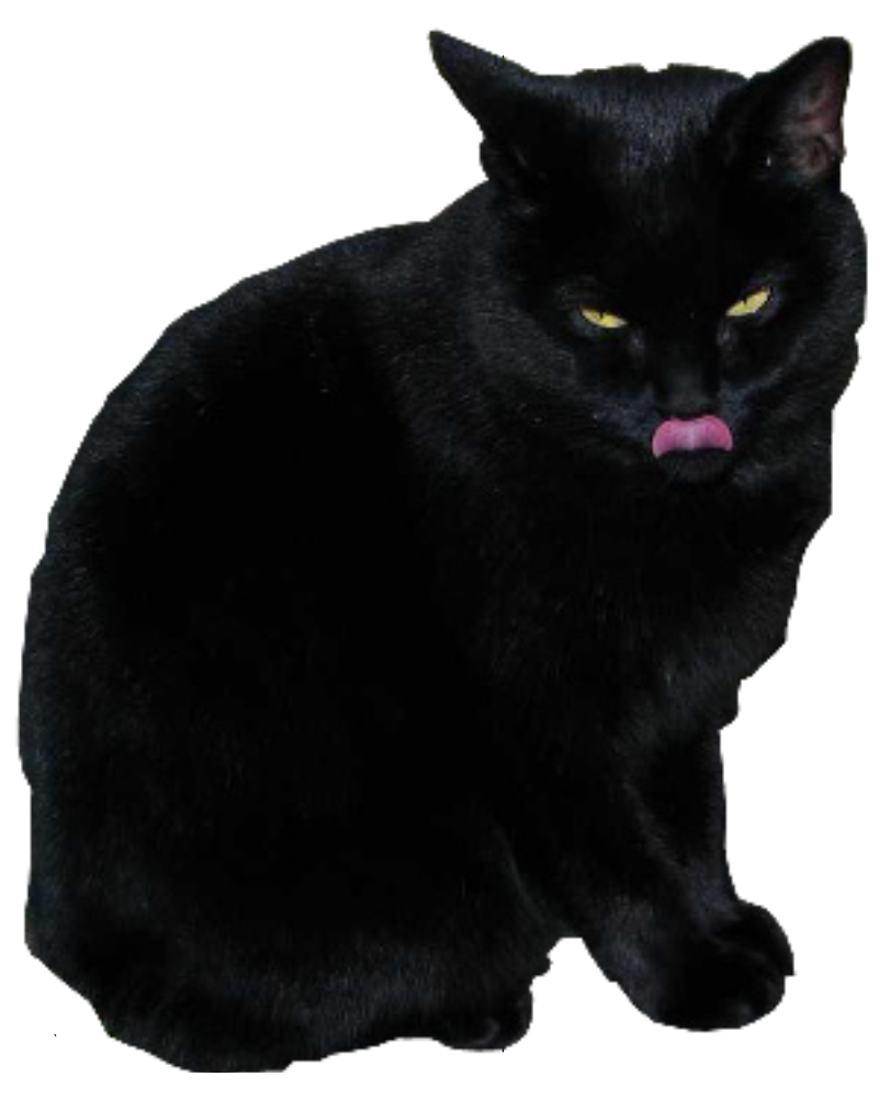 Black Cat Licking Lips PNG image
