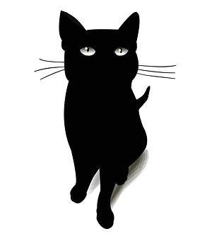 Black Cat Silhouette Illustration PNG image