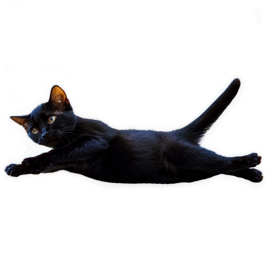 Black Cat Stretching Png 57 PNG image