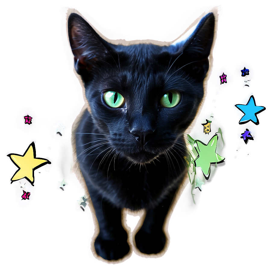 Black Cat With Stars Png Oqk5 PNG image