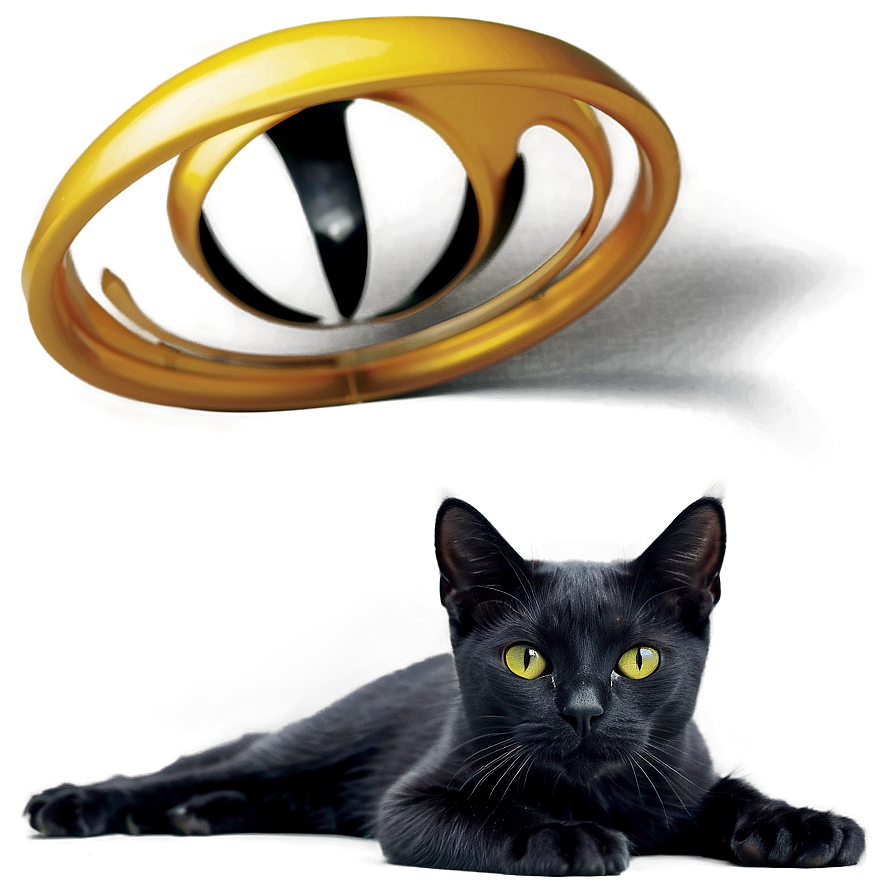 Black Cat With White Paws Png 50 PNG image