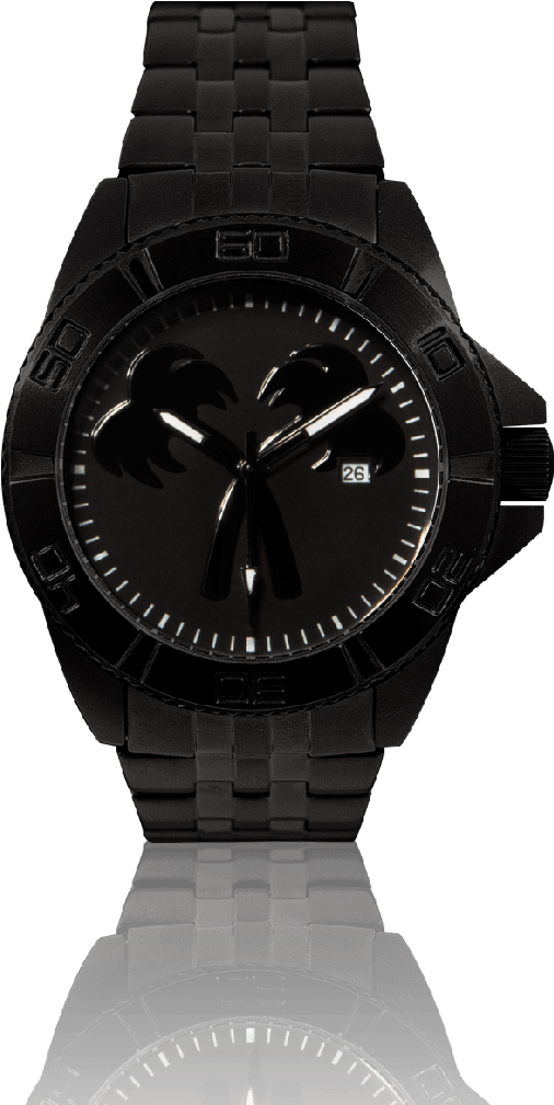 Black Dial Analog Watch PNG image