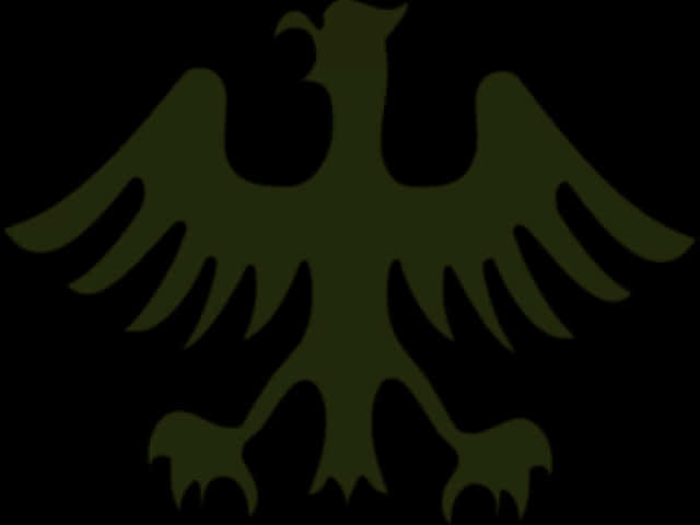 Black Eagle Silhouette PNG image