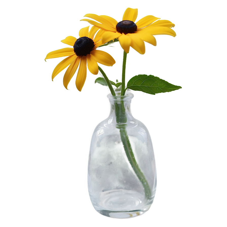 Black Eyed Susan In Vase Png 15 PNG image