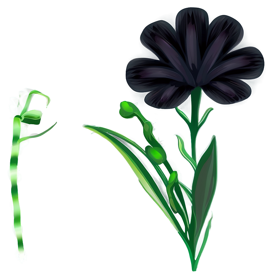 Black Fade Flower Png 05252024 PNG image