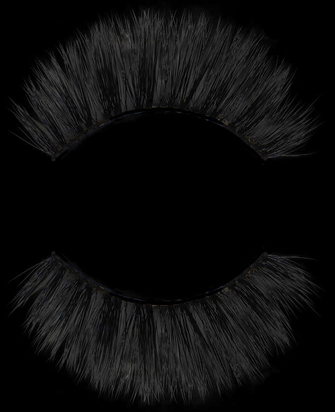 Black_ False_ Eyelashes_ Closeup PNG image