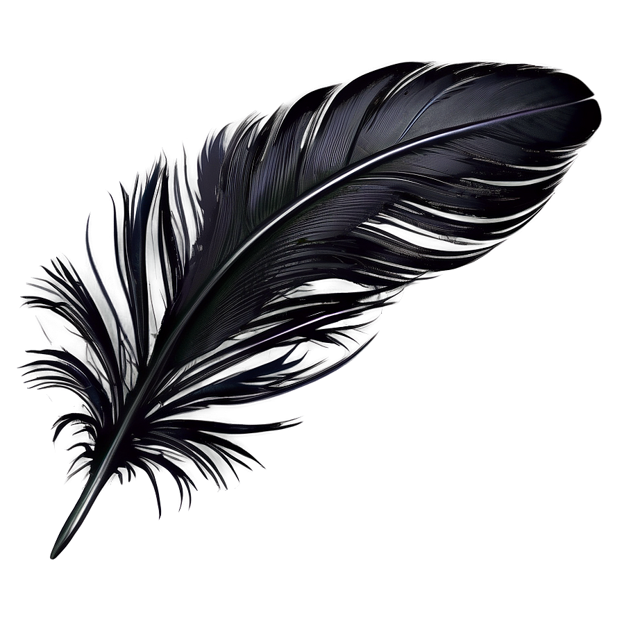 Black Feather Texture Png 56 PNG image