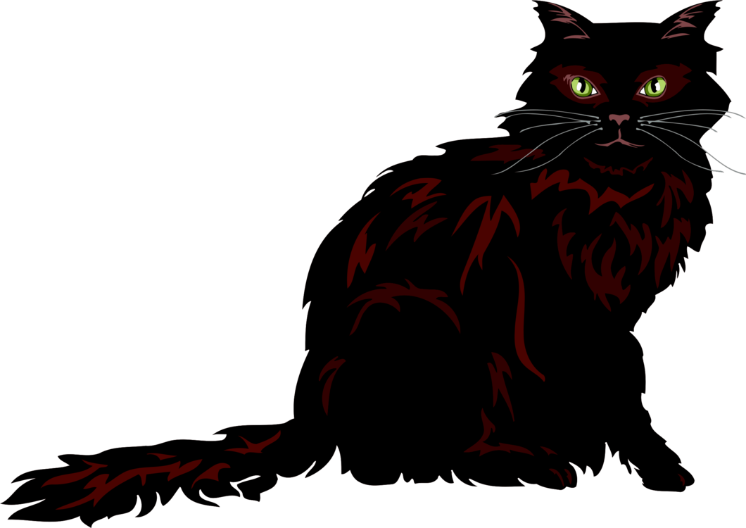 Black Fluffy Cat Illustration PNG image