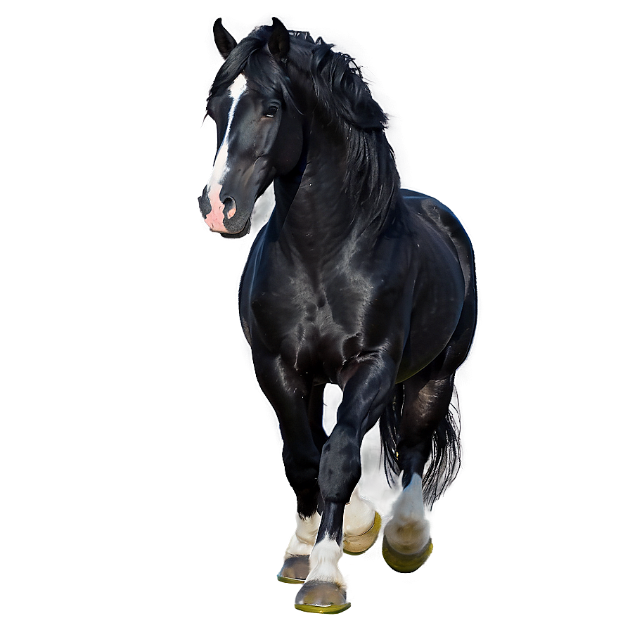 Black Friesian Horse Png Ura97 PNG image