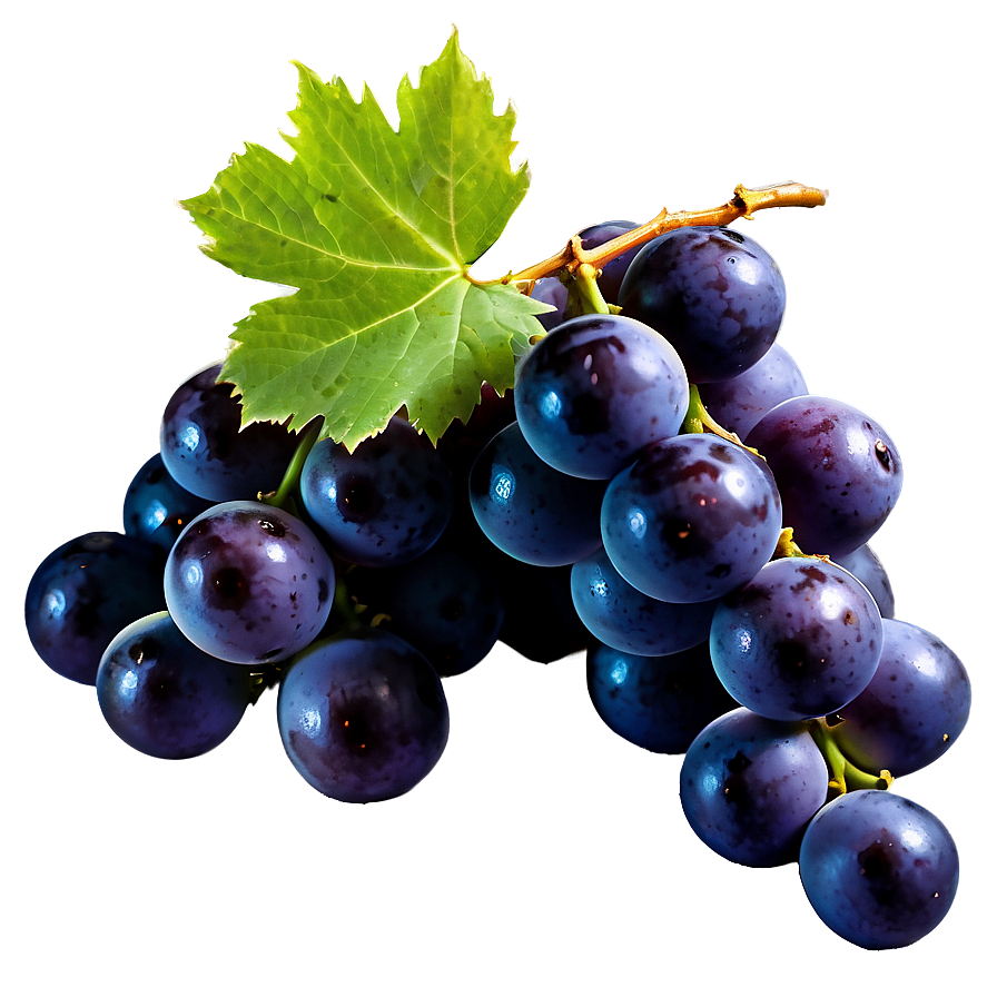 Black Grape Png 05212024 PNG image