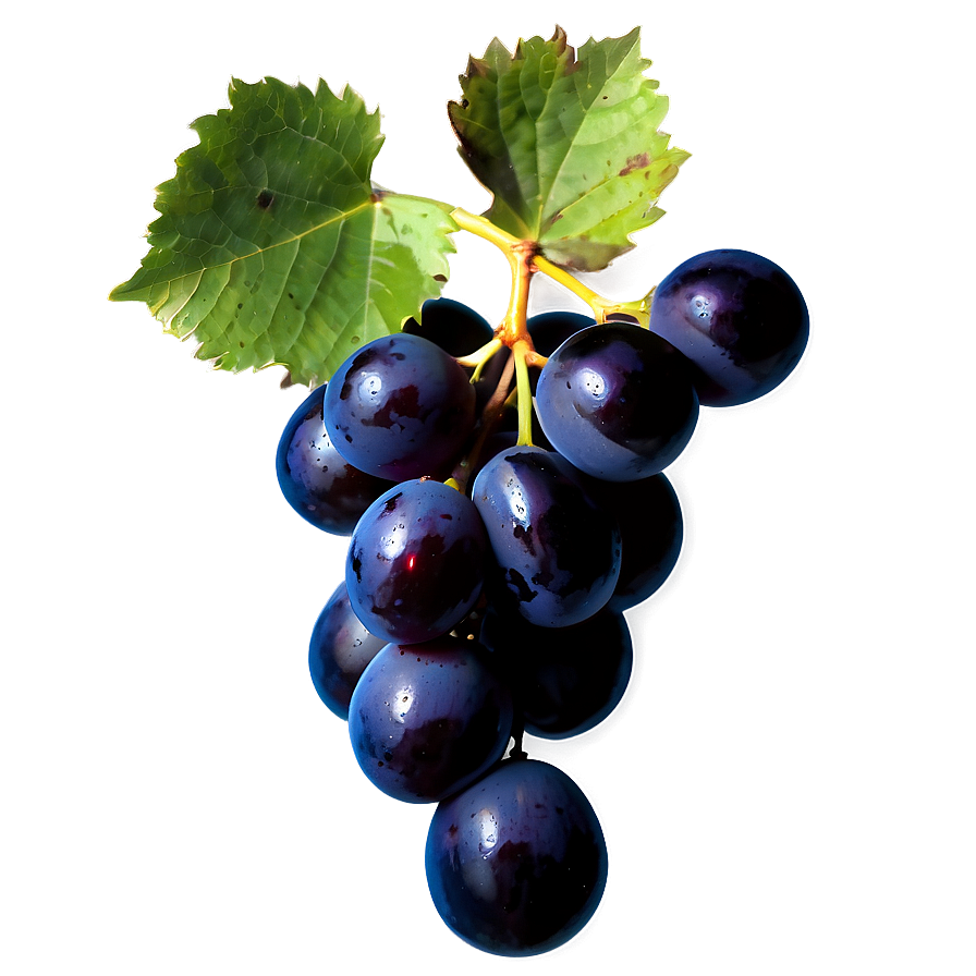 Black Grape Png 67 PNG image