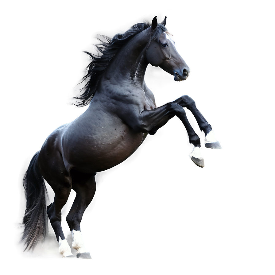 Black Horse Digital Artwork Png 96 PNG image