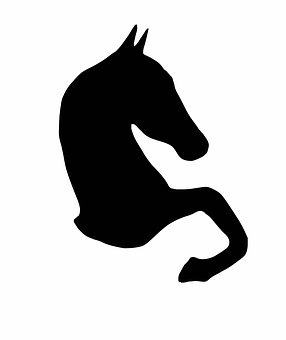 Black Horse Silhouette Graphic PNG image