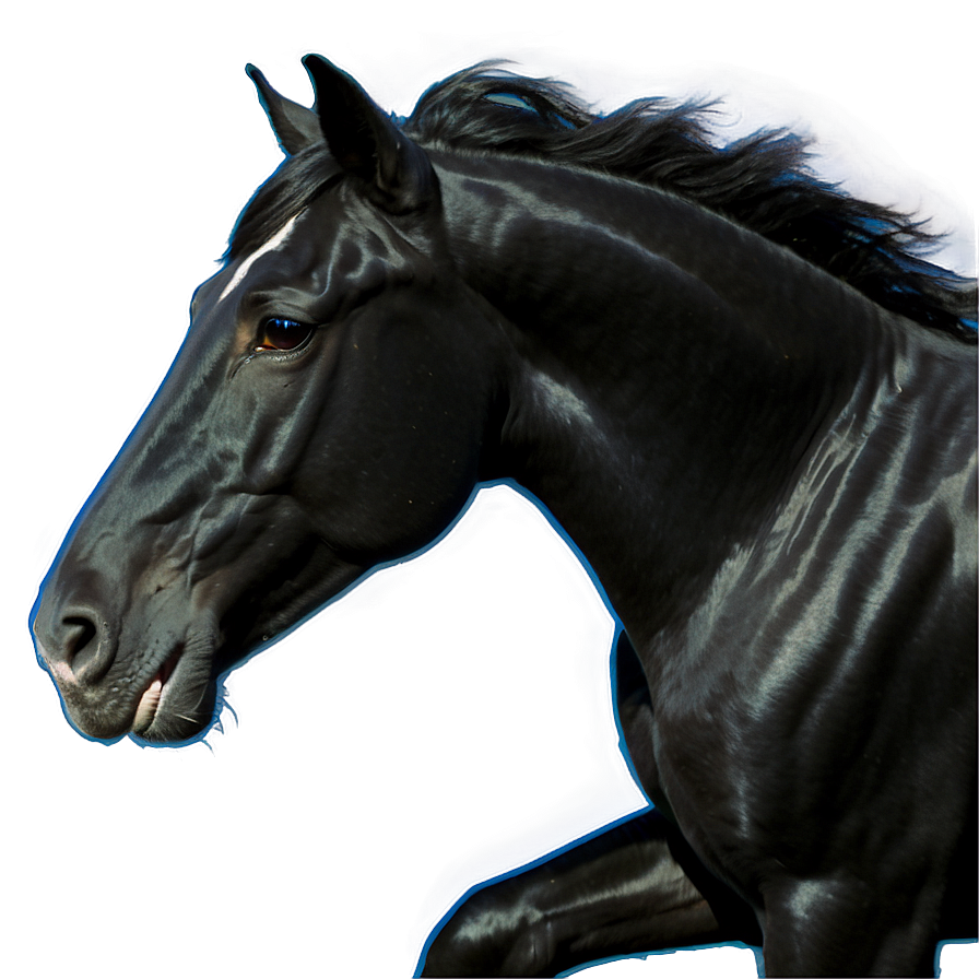 Black Horse With Blue Eyes Png Qwd PNG image