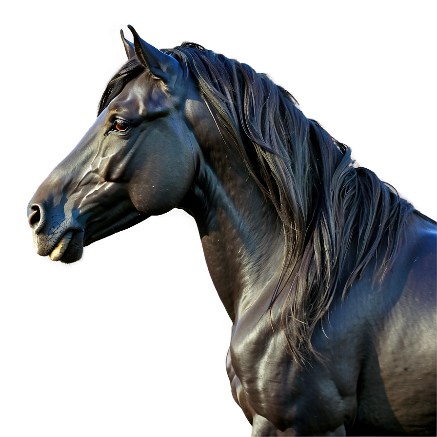 Black Horse With Flowing Mane Png 78 PNG image