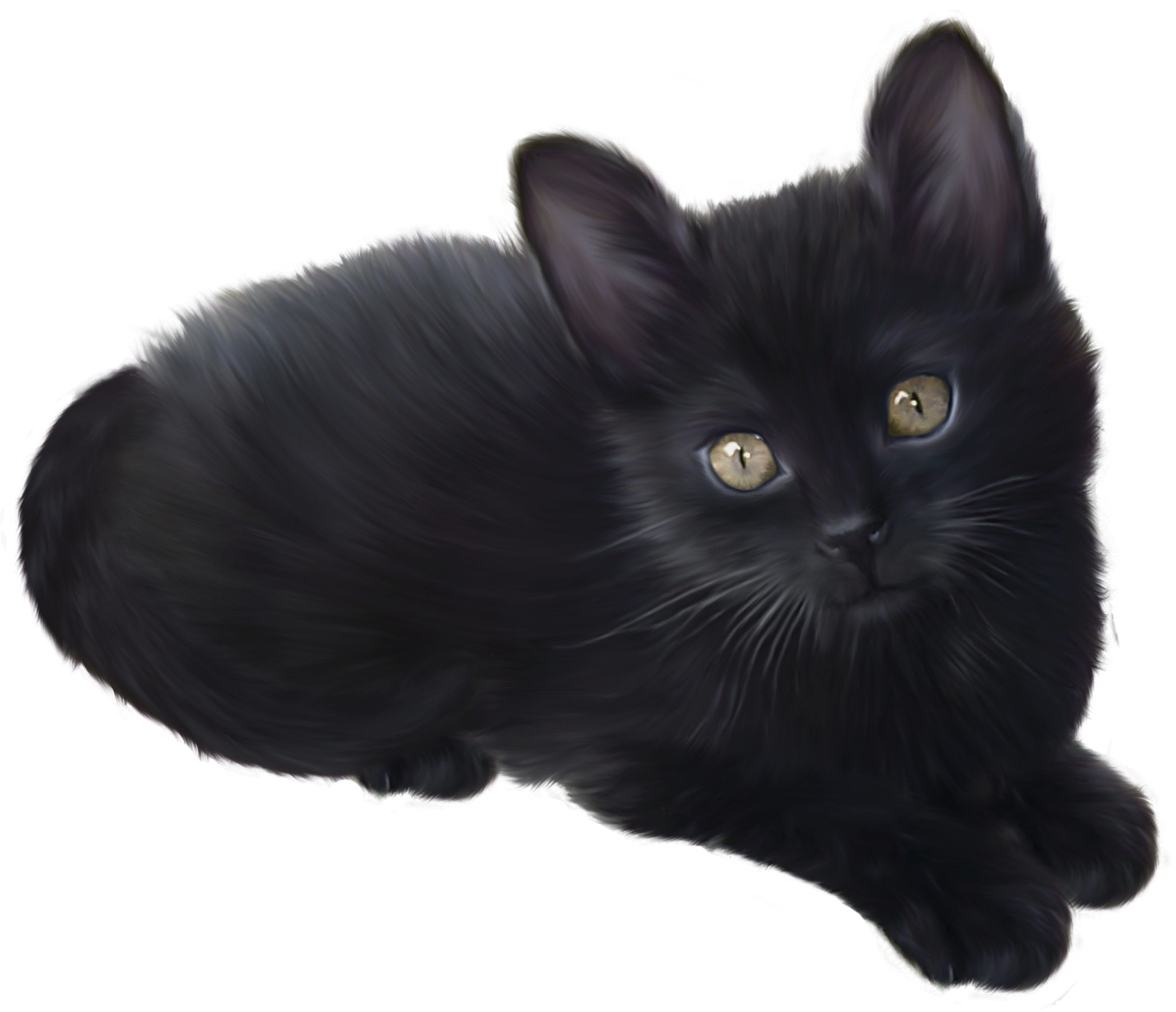 Black Kitten Gazing Image PNG image