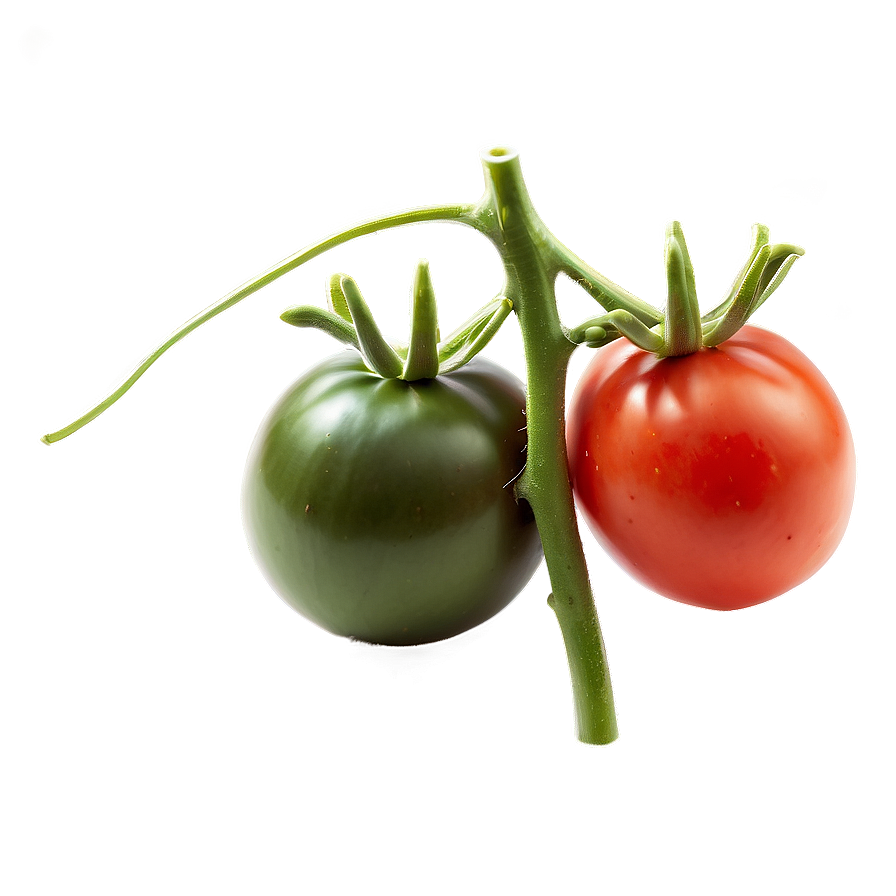 Black Krim Tomato Png Gcy PNG image