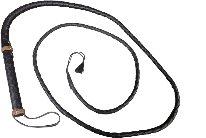 Black Leather Braided Whip PNG image