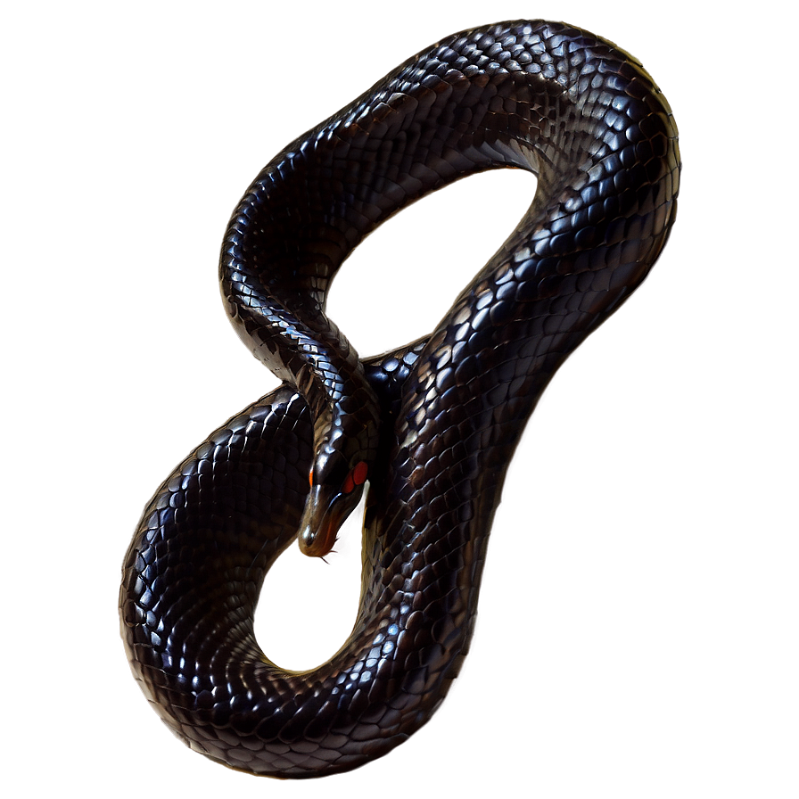 Black Mamba Snake Png 44 PNG image