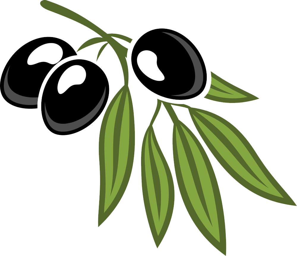 Black Olives Branch Illustration PNG image