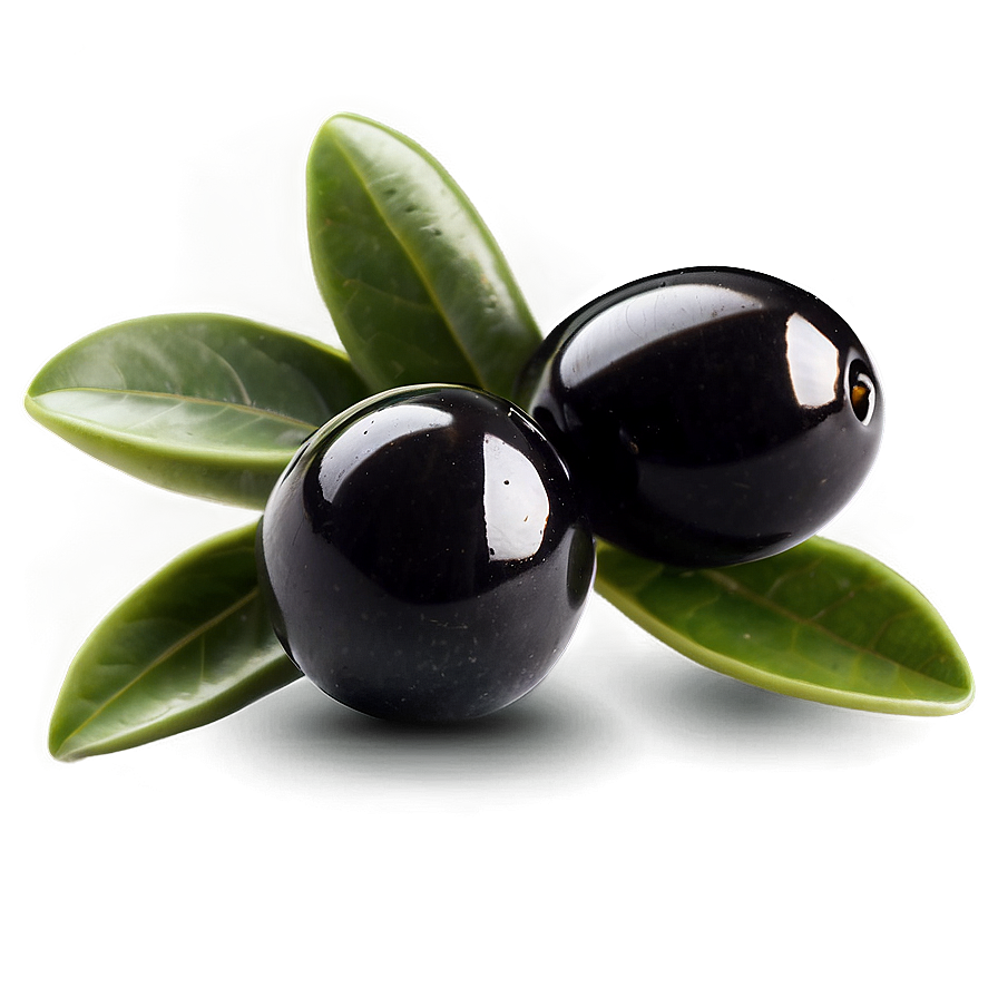 Black Olives On Branch Png 77 PNG image