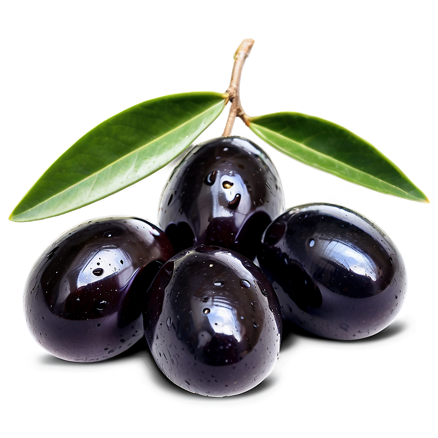 Black Olives On Branch Png Dos28 PNG image