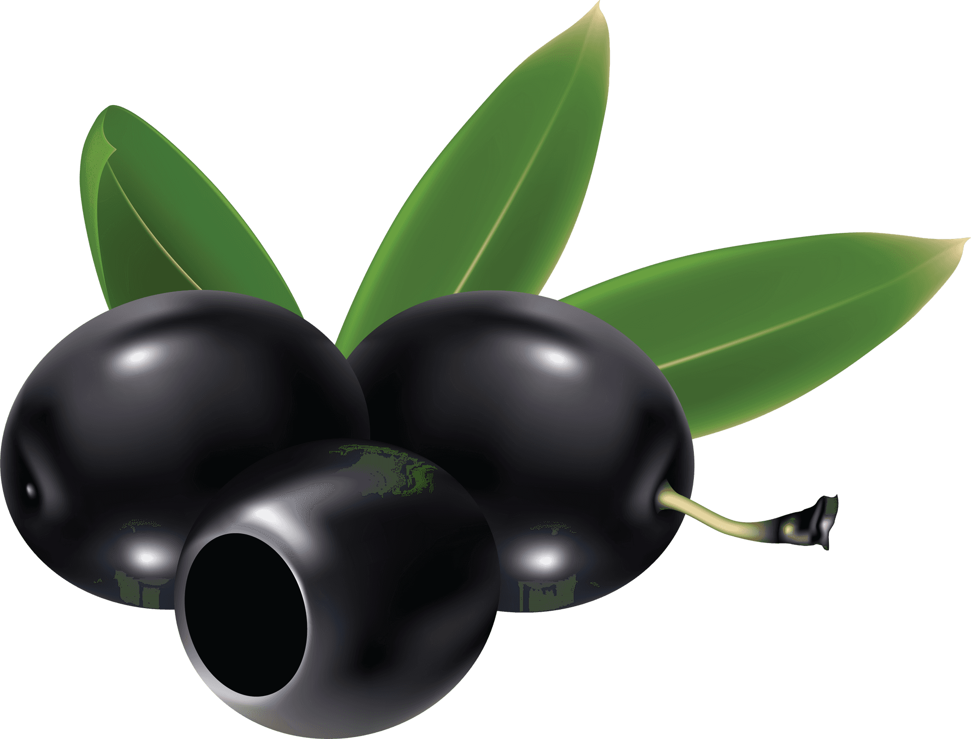 Black Oliveswith Leaves Graphic PNG image