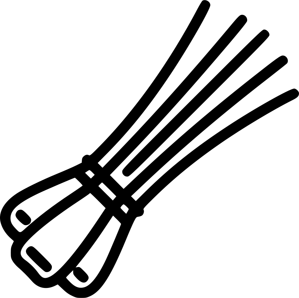 Black Outline Leeks Illustration PNG image