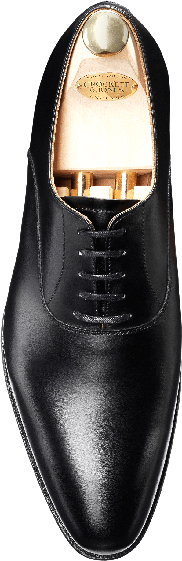 Black Oxford Dress Shoe PNG image