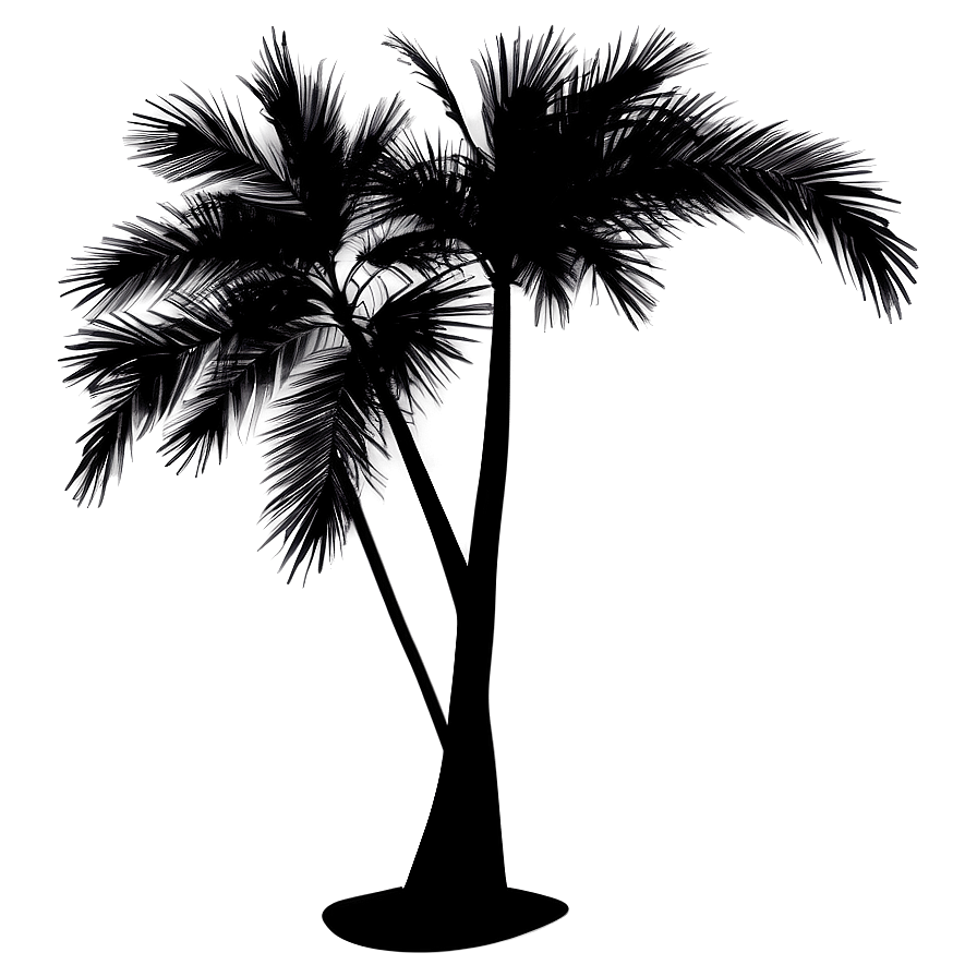 Black Palm Tree On Transparent Background Png Kad PNG image