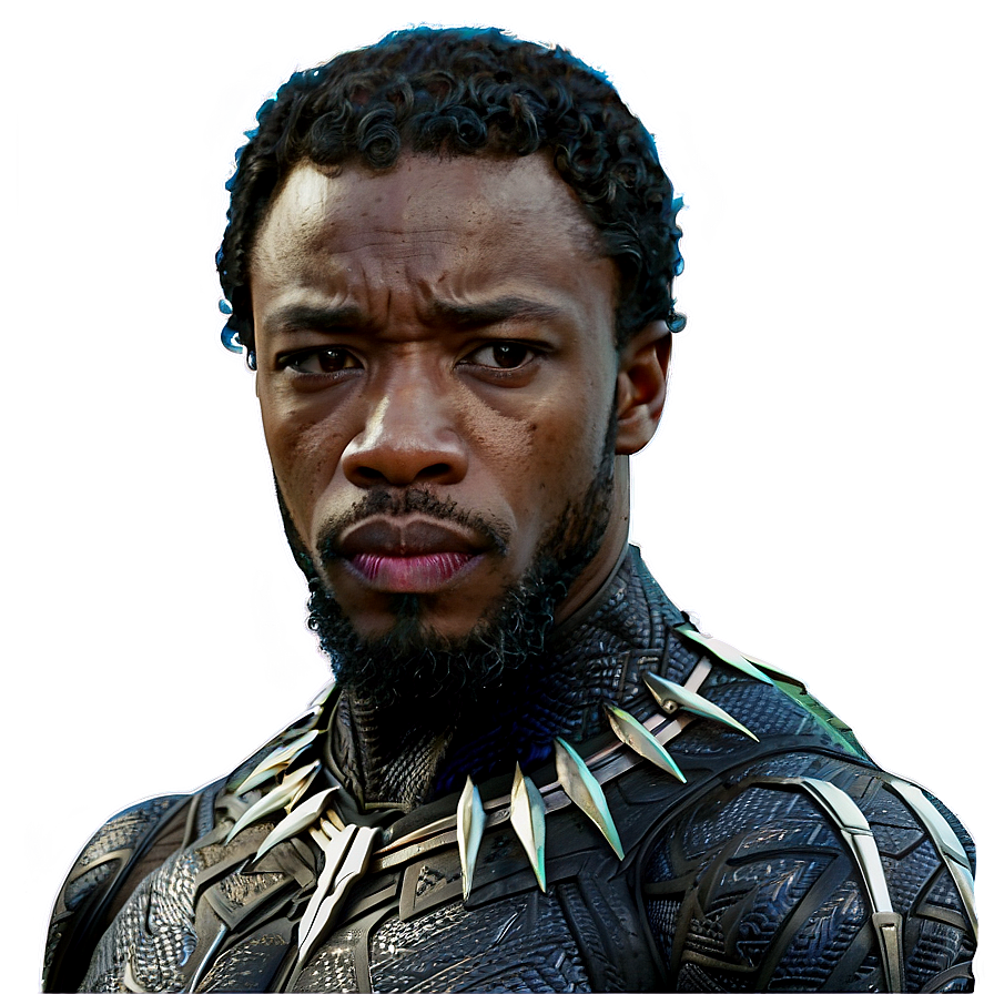 Black Panther Avengers Png Udo PNG image