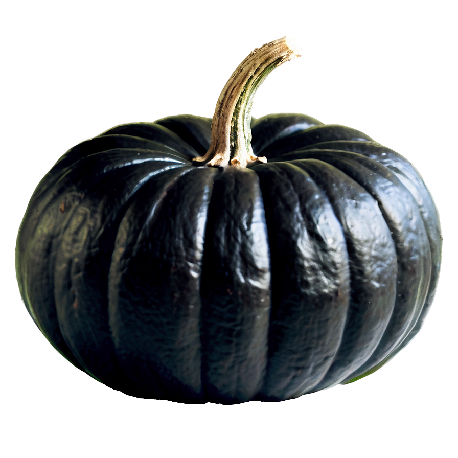 Black Pumpkin On Hay Png Egq99 PNG image