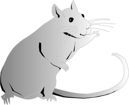 Black Rat Silhouette PNG image