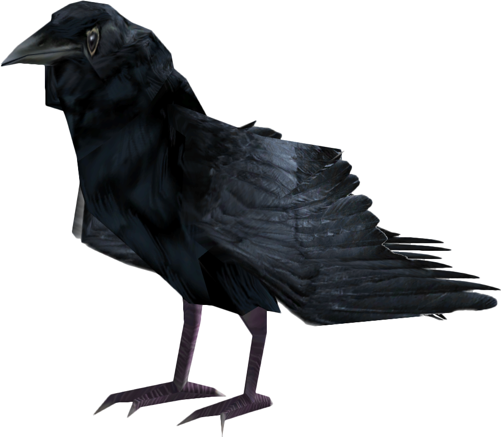 Black Raven Profile PNG image