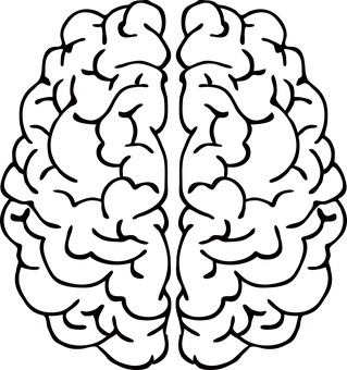 Black Rose Pattern Background PNG image