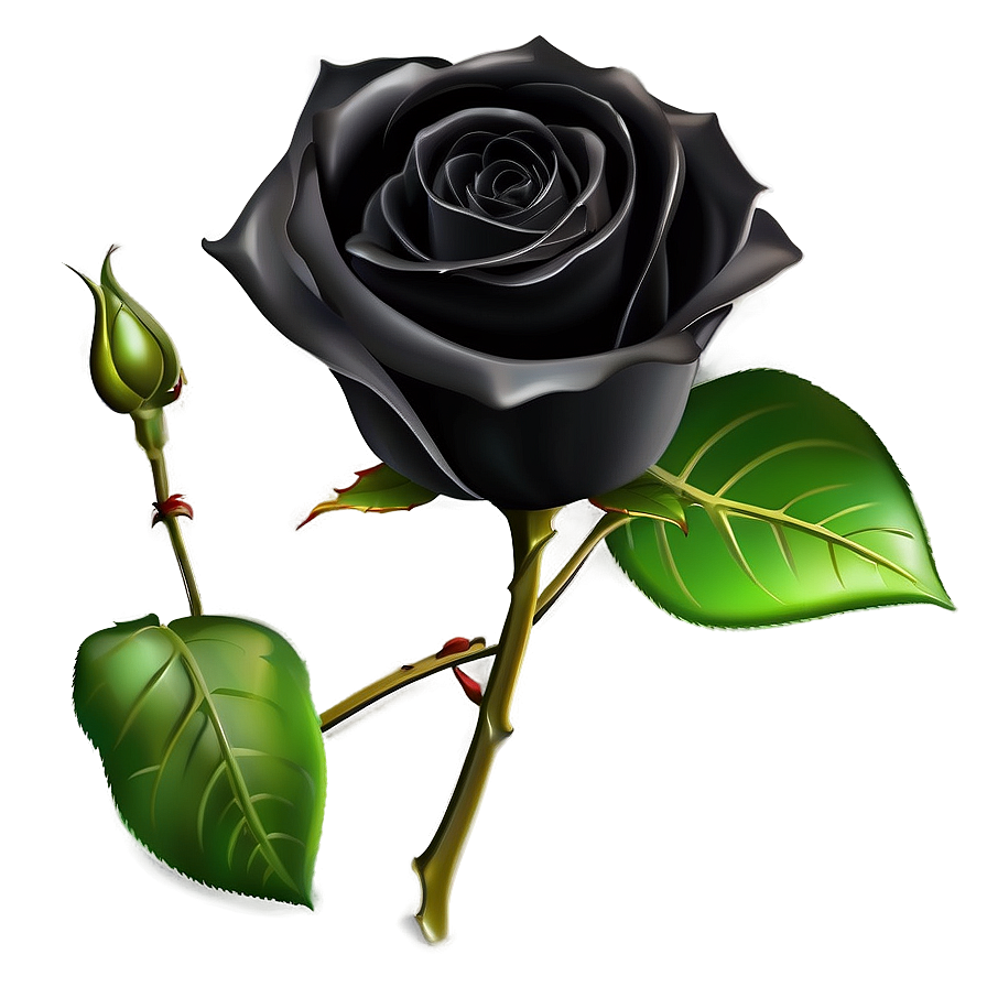 Black Roses Invitation Png Pca10 PNG image