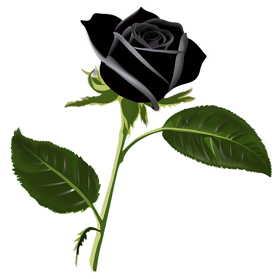 Black Roses Silhouette Png 06212024 PNG image