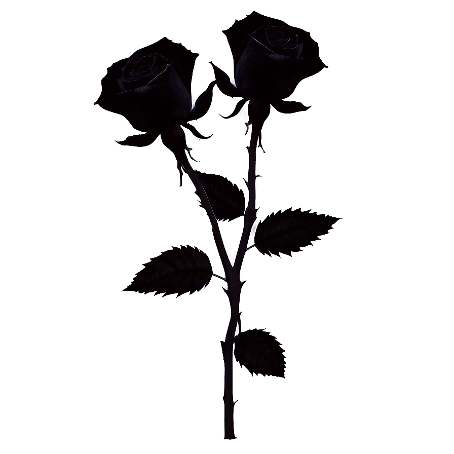 Black Roses Silhouette Png Wey38 PNG image