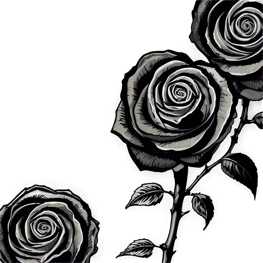 Black Roses Sketch Png Twg PNG image