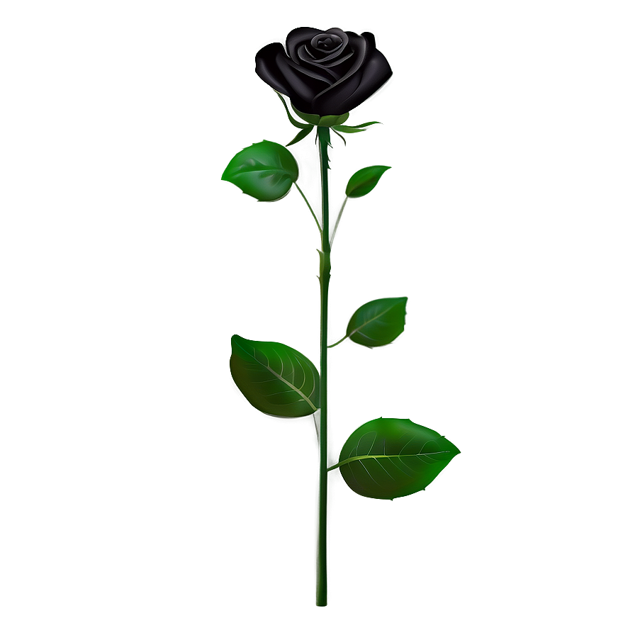 Black Roses Symbol Png 8 PNG image