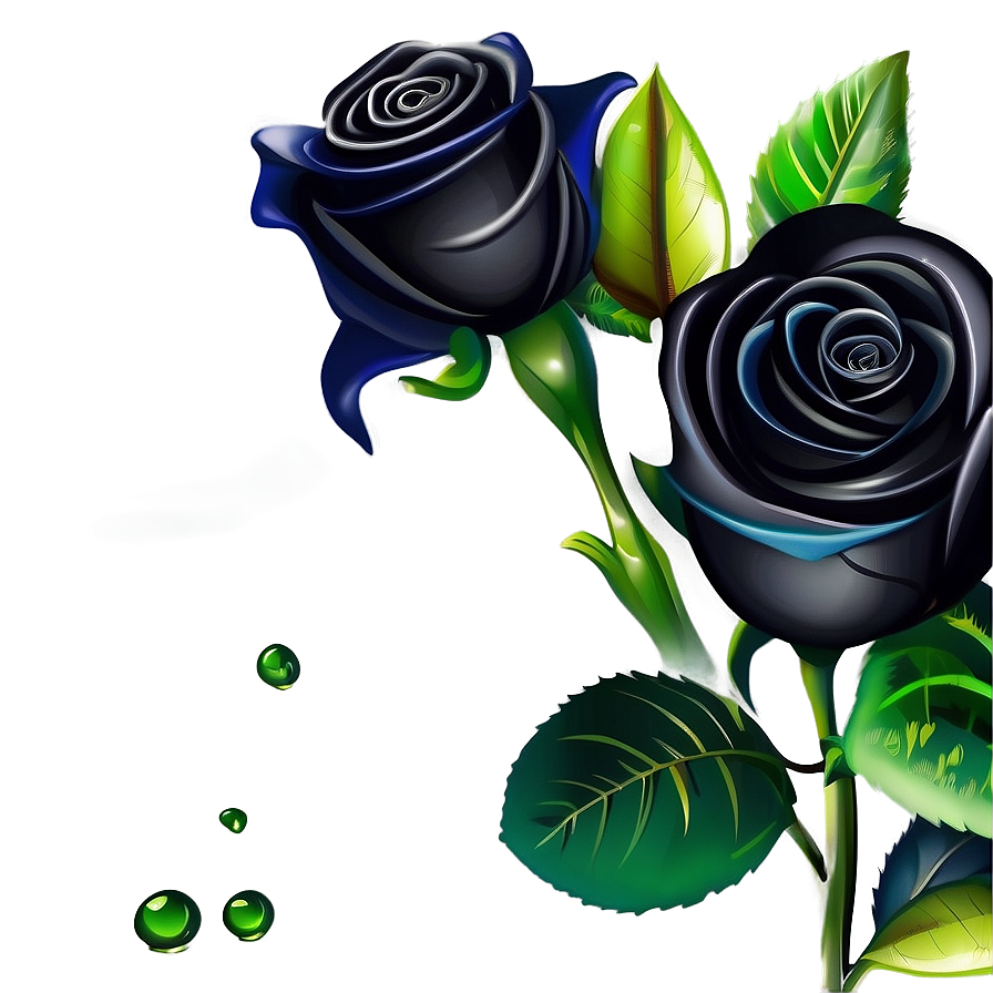 Black Roses Vector Png 06212024 PNG image