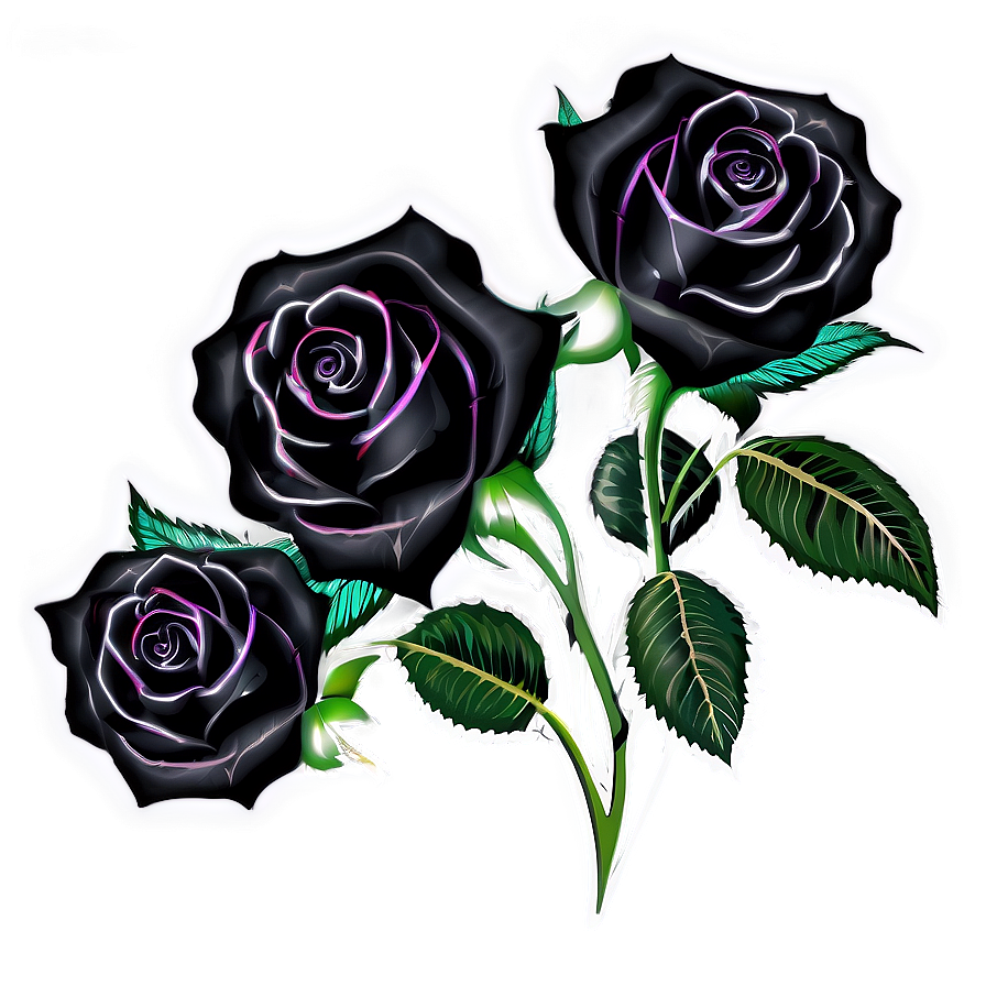 Black Roses With Lace Png 06212024 PNG image