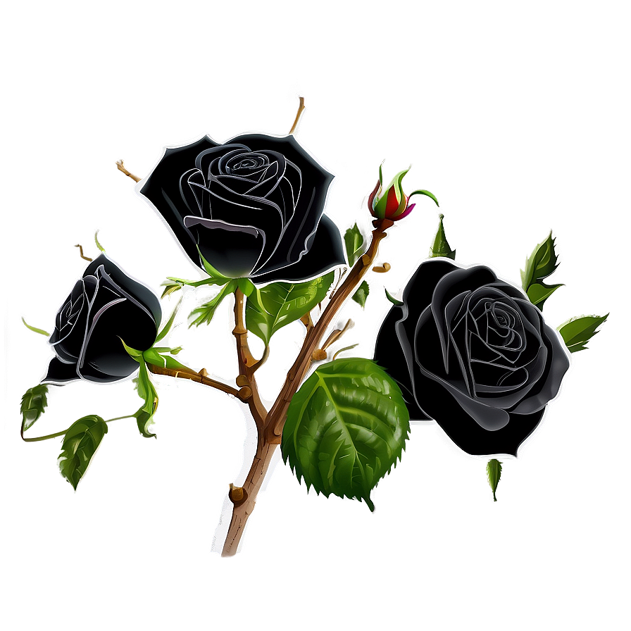 Black Roses With Thorns Png Fgd93 PNG image