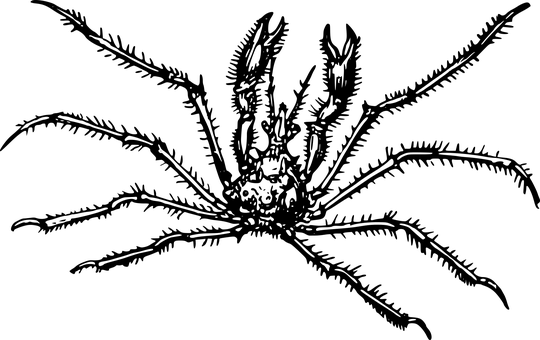 Black Screen Empty Background.jpg PNG image