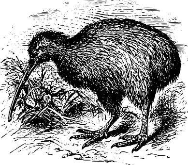 Black Screen Empty Template.jpg PNG image