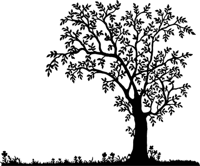 Black Screen No Content PNG image