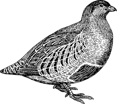 Black Screen No Content PNG image