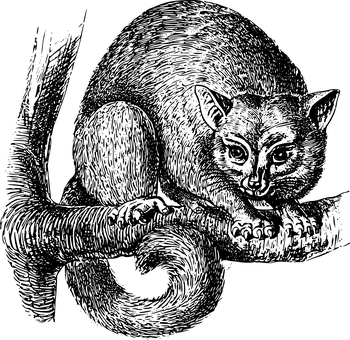 Black Screen Placeholder PNG image