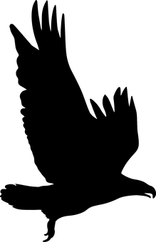 Black Screen Placeholder.jpg PNG image